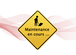 Maintenance logicielle